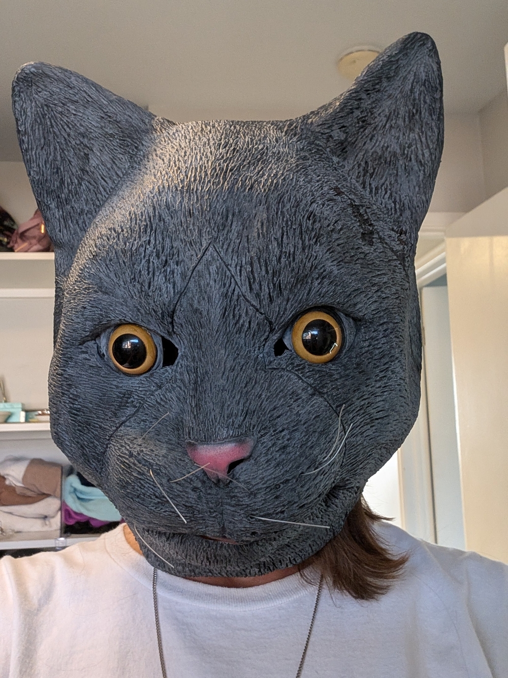 Cat Face Costume Mask - Gray Plush Cat Head